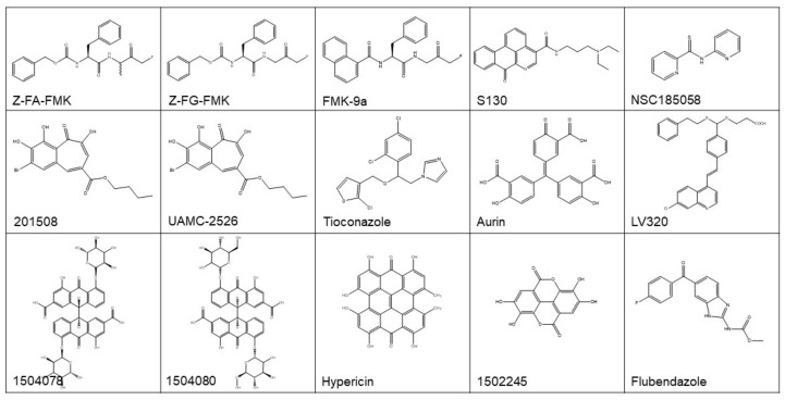 Figure 4