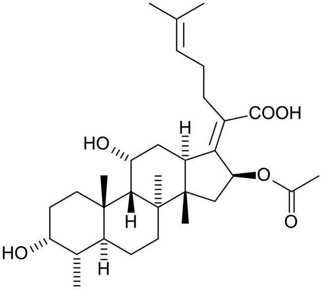 Figure 5.