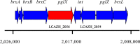 FIG 1