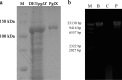 FIG 6