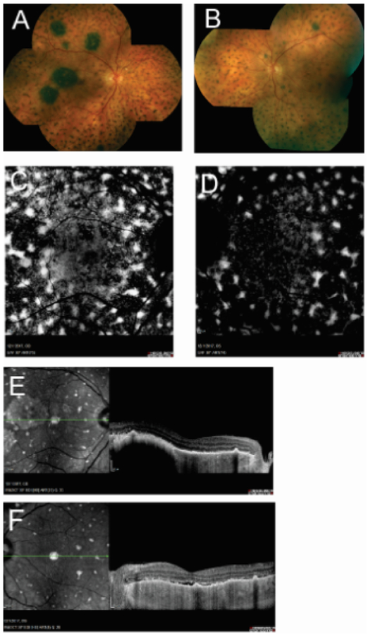 Figure 2: