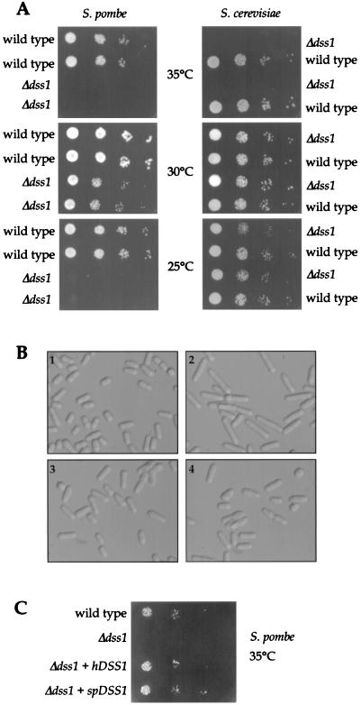 FIG. 8