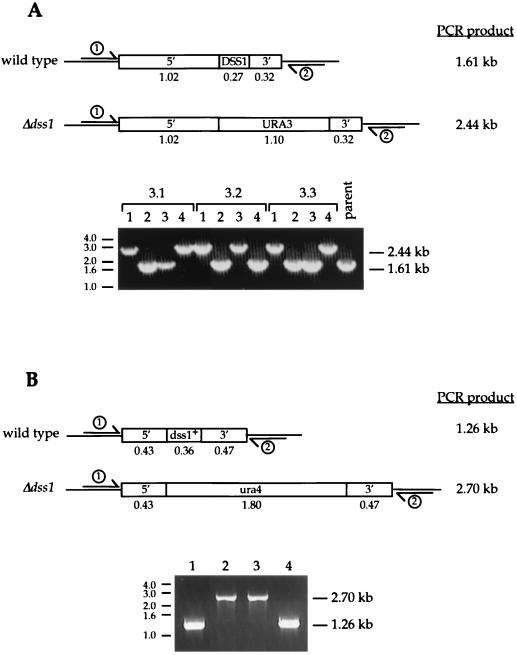 FIG. 7