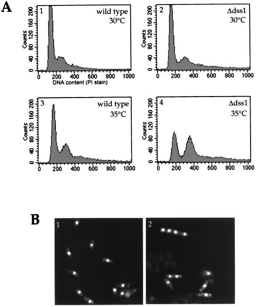 FIG. 9