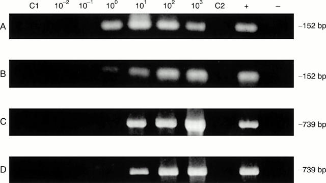 Figure 2  