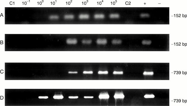 Figure 1  