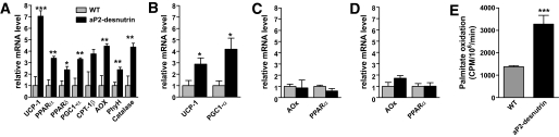 FIG. 8.