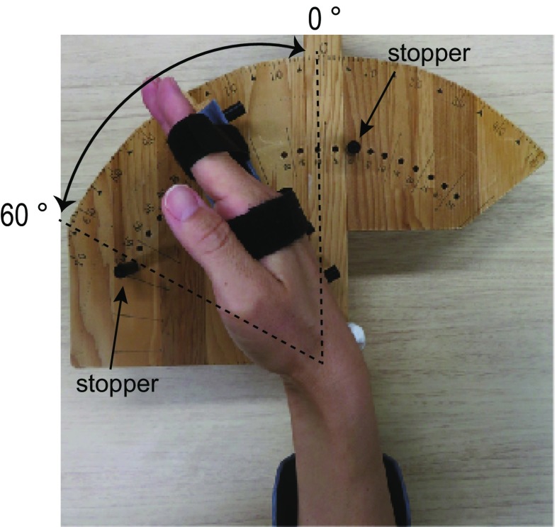 Fig. 1