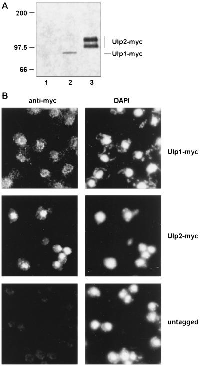 FIG. 8