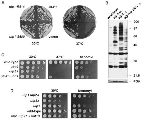 FIG. 9