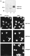 FIG. 8