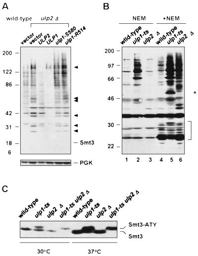 FIG. 7