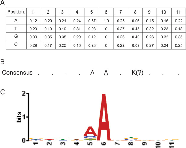 Fig. 5