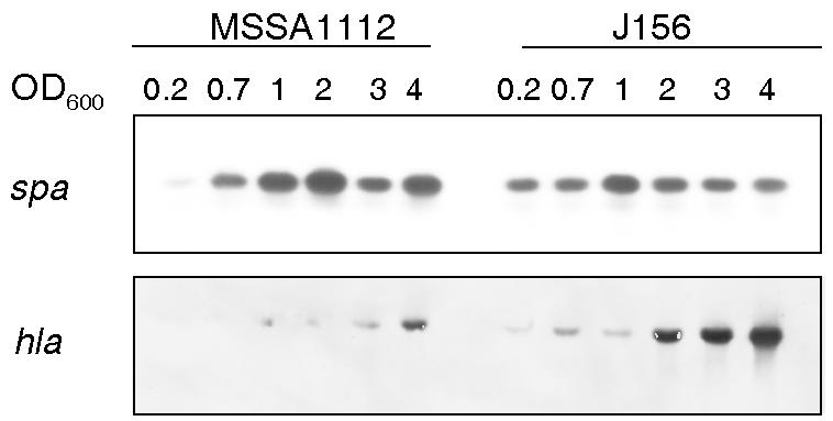 FIG. 5.