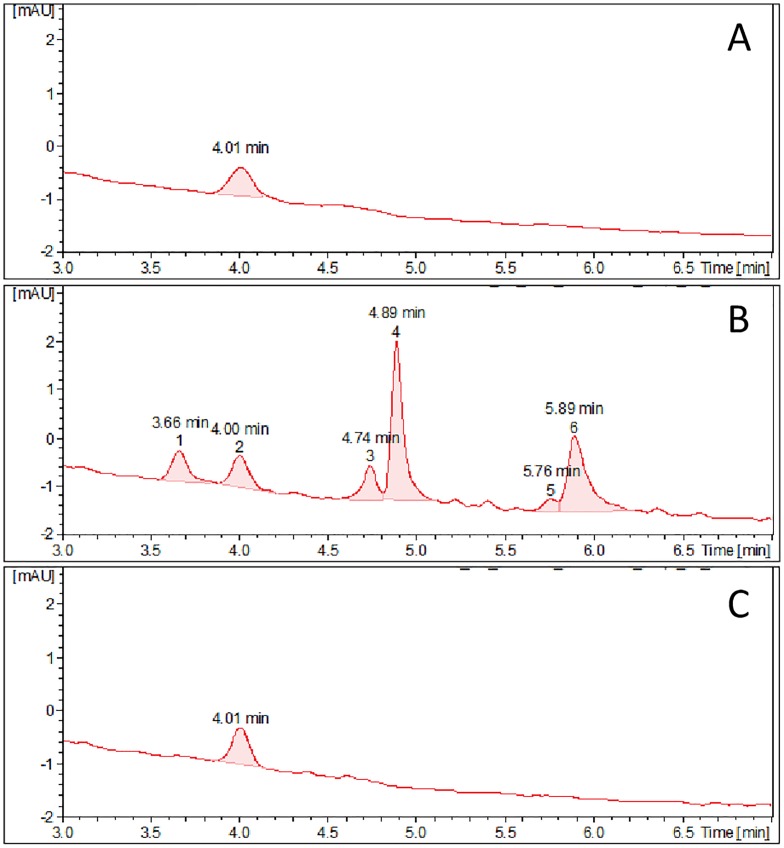 Fig 5