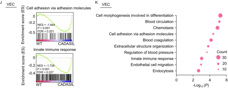 Figure 5