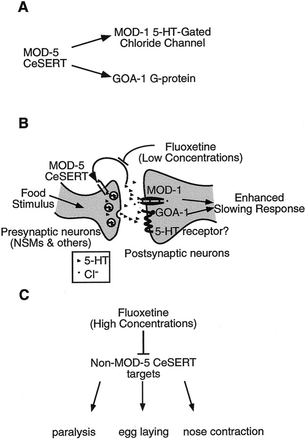 Fig. 8.