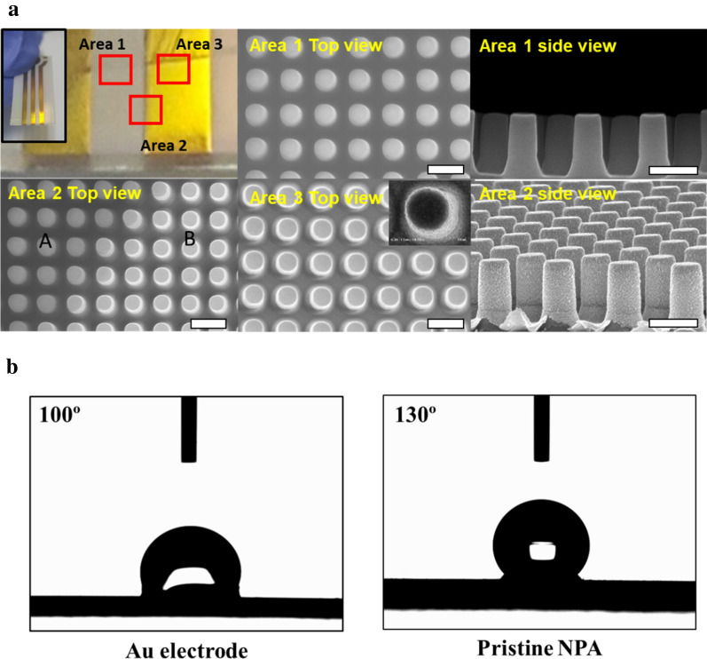 Fig. 2