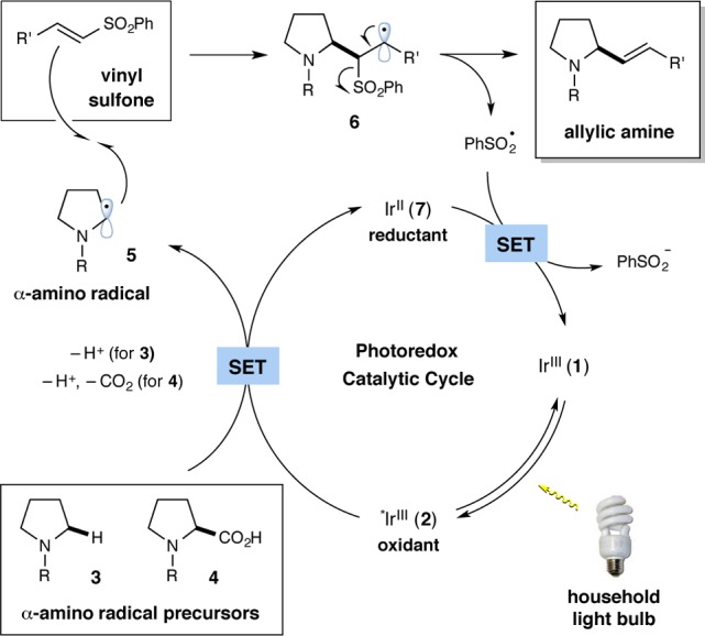 Scheme 1