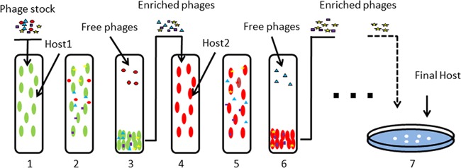 FIG 2