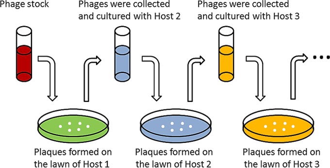 FIG 1