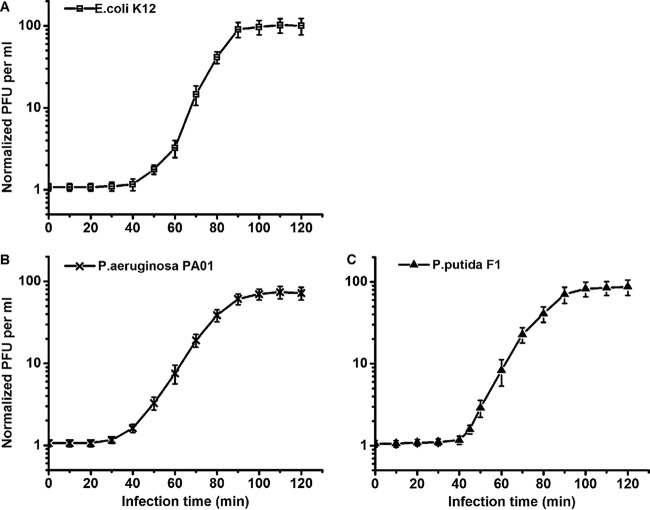 FIG 6