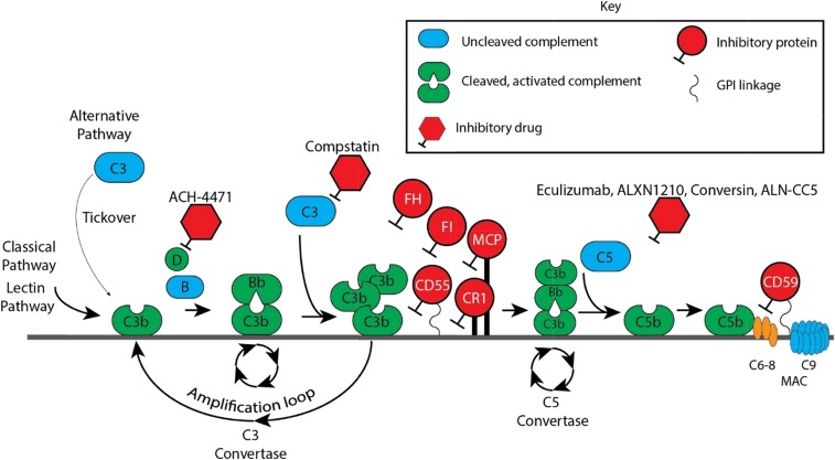 Figure 2.