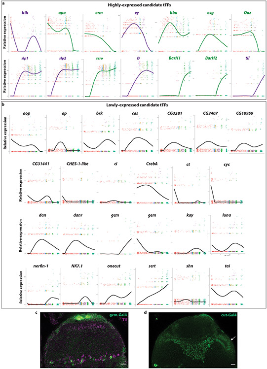 Extended Data figure 3: