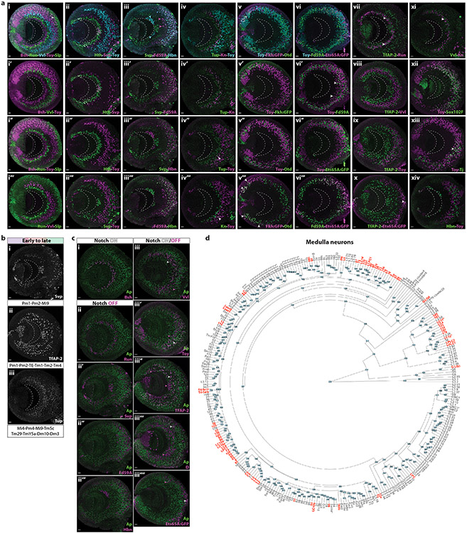 Extended Data figure 8: