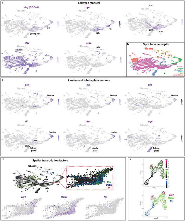 Extended Data figure 2: