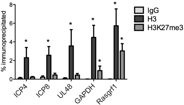 FIG 2