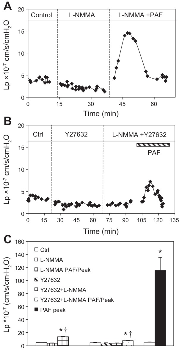 Fig. 9.