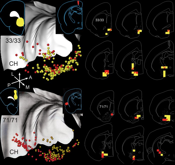 Figure 4.