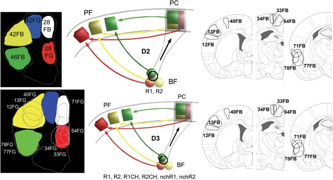 Figure 11.