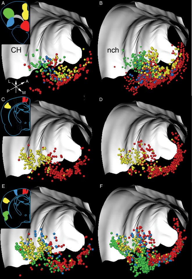 Figure 2.