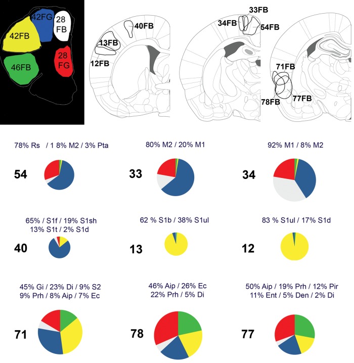 Figure 10.