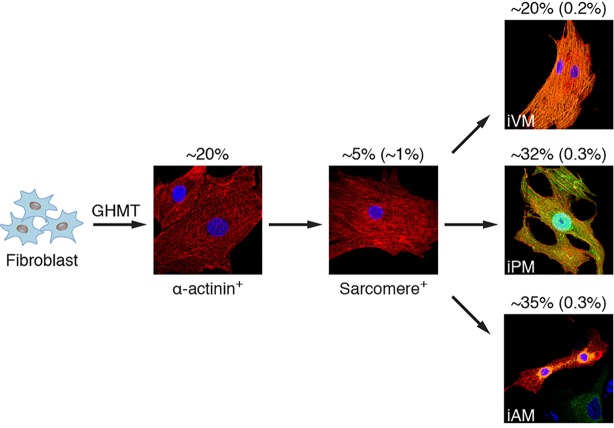 Fig. 9.