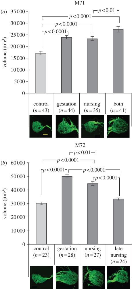 Figure 2.