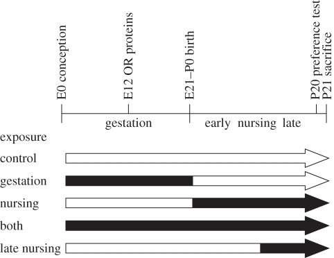 Figure 1.