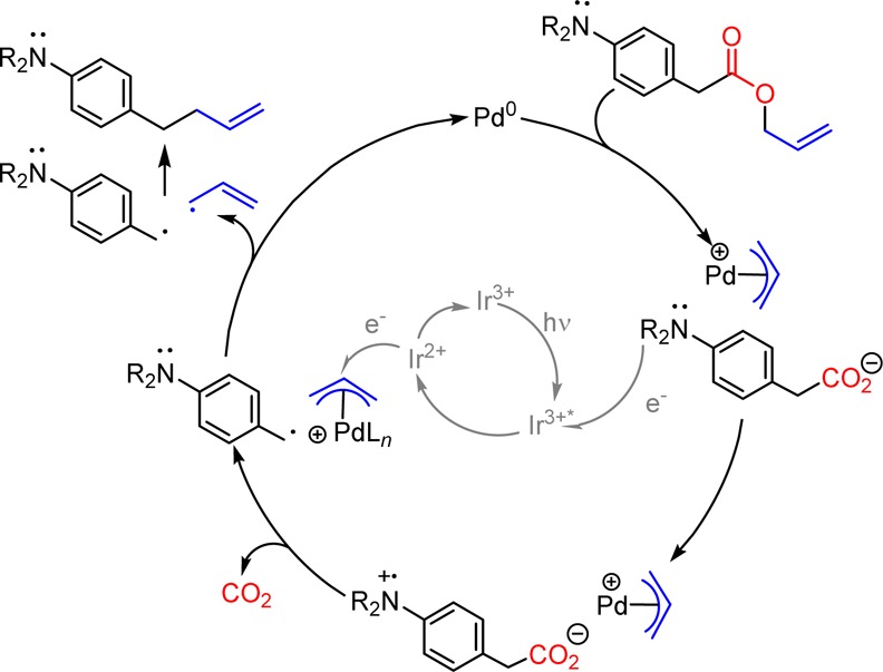 Scheme 5