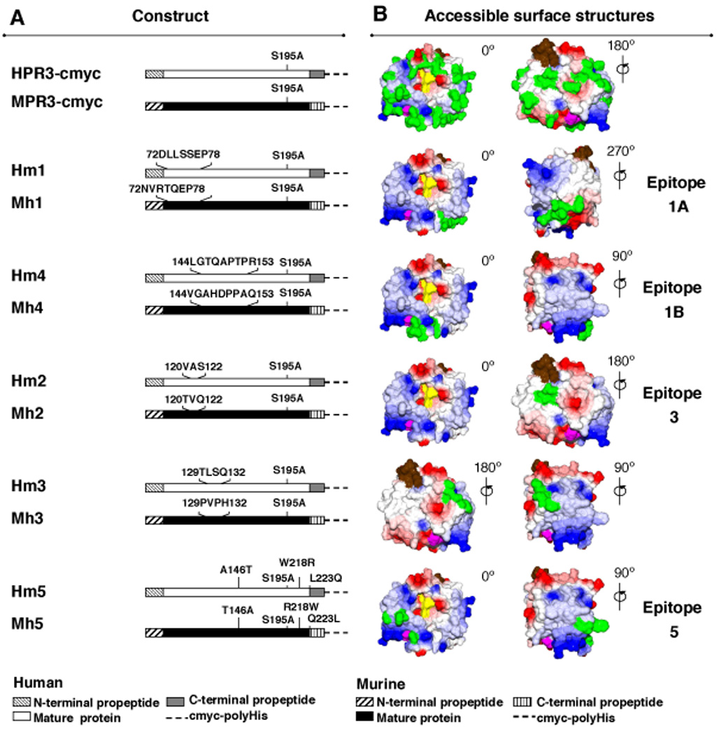 FIGURE 3