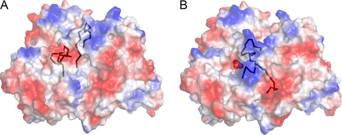 FIGURE 9.