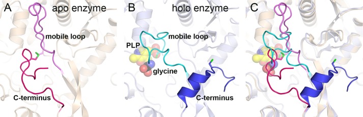 FIGURE 7.