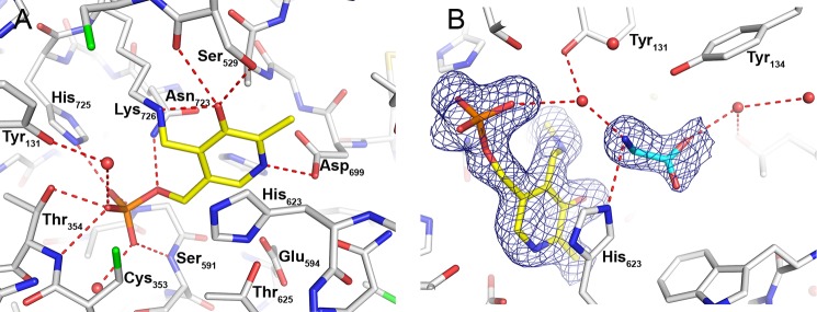 FIGURE 6.