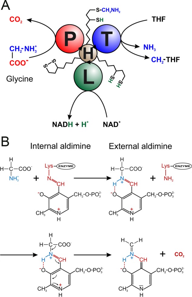 FIGURE 1.