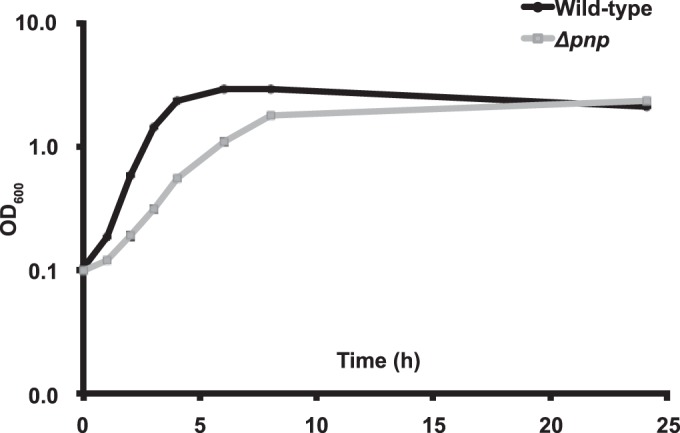 FIG 2