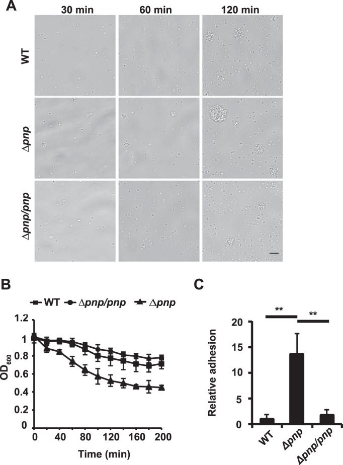 FIG 3