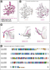 Figure 3—figure supplement 3.