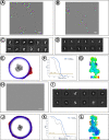 Figure 2—figure supplement 1.