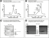 Figure 1—figure supplement 1.
